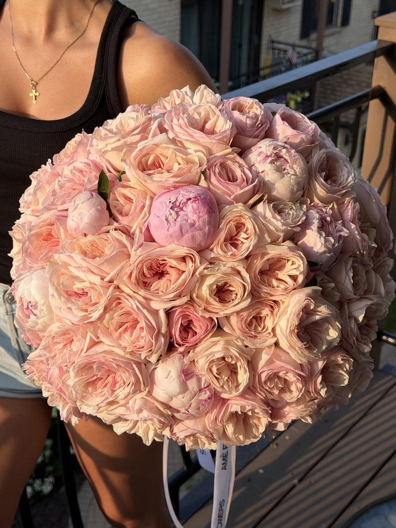 Valeria Garden Roses — Blush Pink Garden Roses · Roses by Ame Flowers