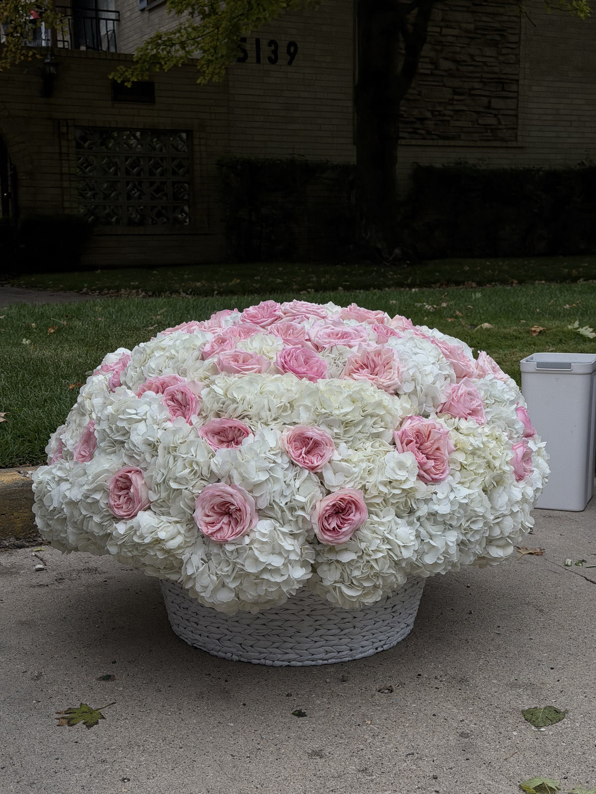 Pretty in Pink XXL Basket — Blush Ivory Garden Roses · Floral Baskets by Ame Flowers