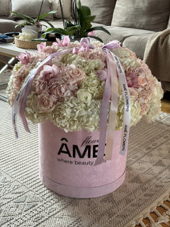 Petite Chérie XXL Box — Blush Ivory Roses · Floral Boxes by Ame Flowers