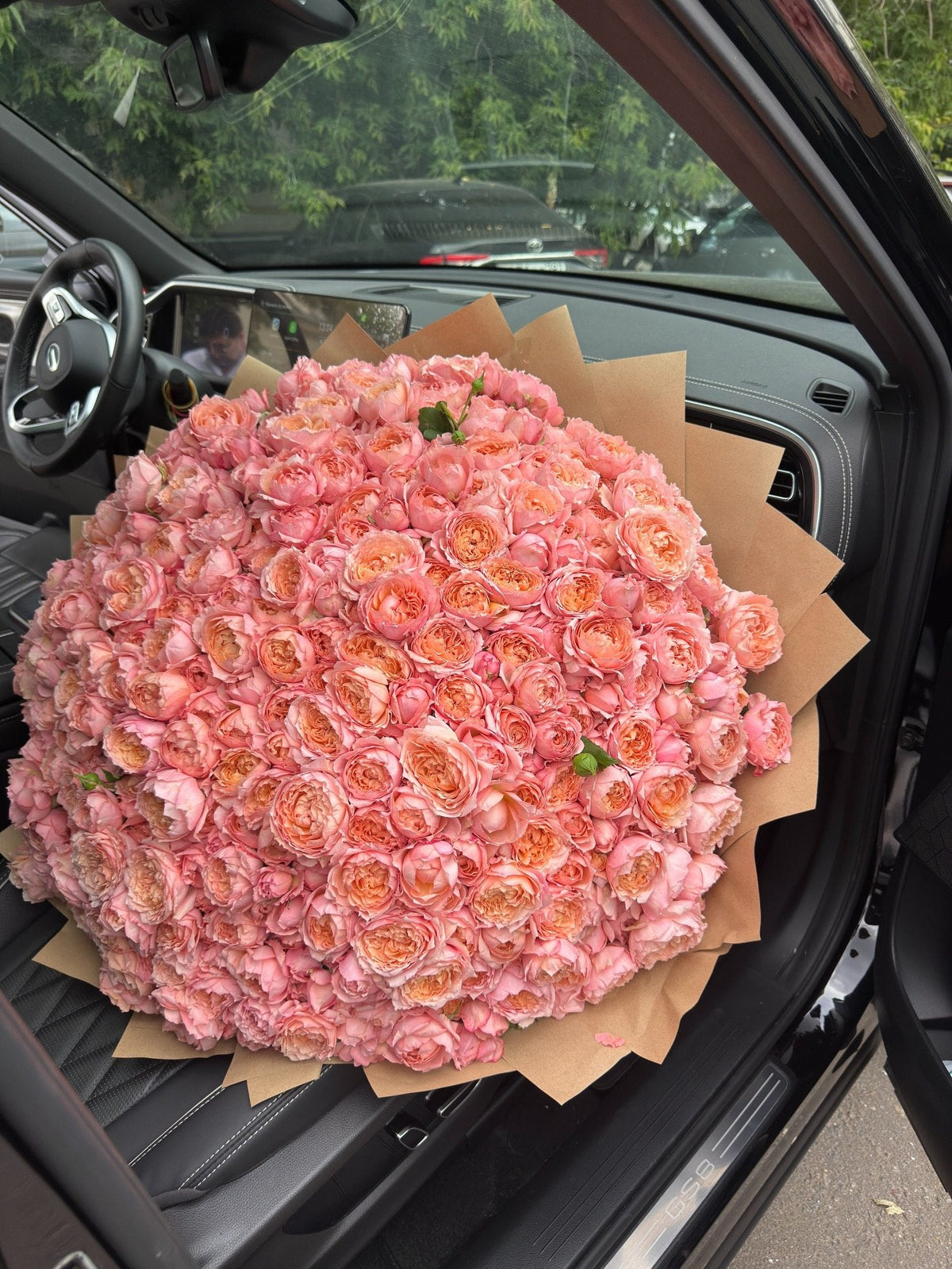 Premium XXL Julietta Garden Roses — Coral Pink Garden Spray Roses · Roses by Ame Flowers
