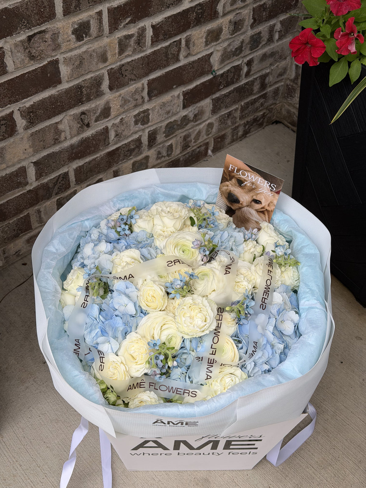Céleste — Ivory Blue Hydrangeas · Mix Bouquets by Ame Flowers