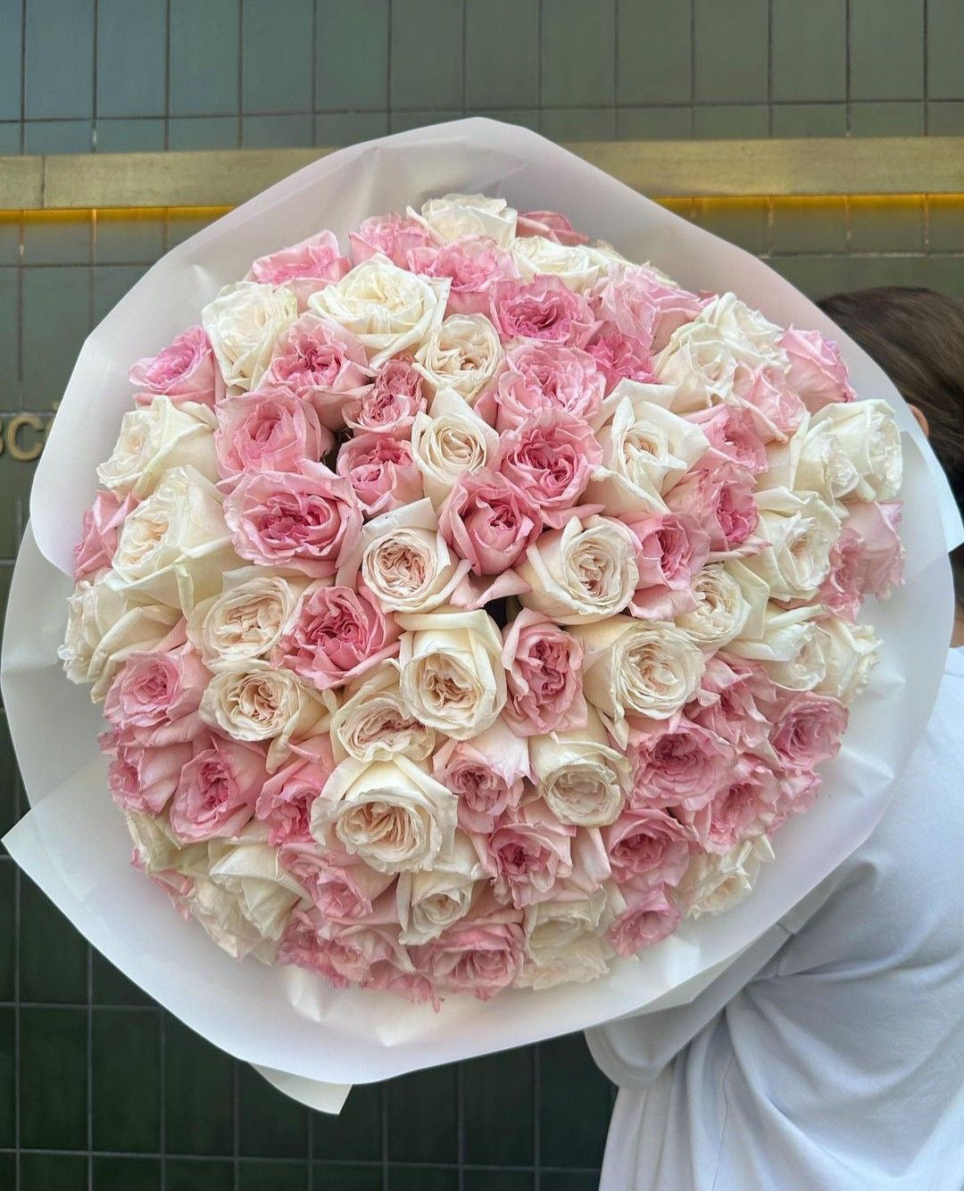 White & Pink O’Hara Garden Roses — Ivory Pink Garden Roses · Roses by Ame Flowers