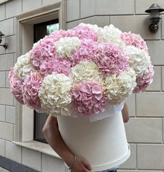 Pink Cloud XXL Box — Ivory Pink Hydrangeas · Floral Boxes by Ame Flowers