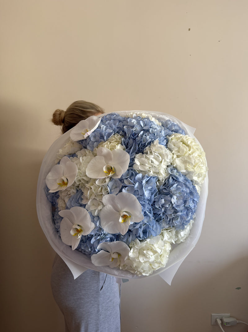 Hydrangeas & Orchid Mix — Blue White Hydrangeas · Mono Bouquets by Ame Flowers