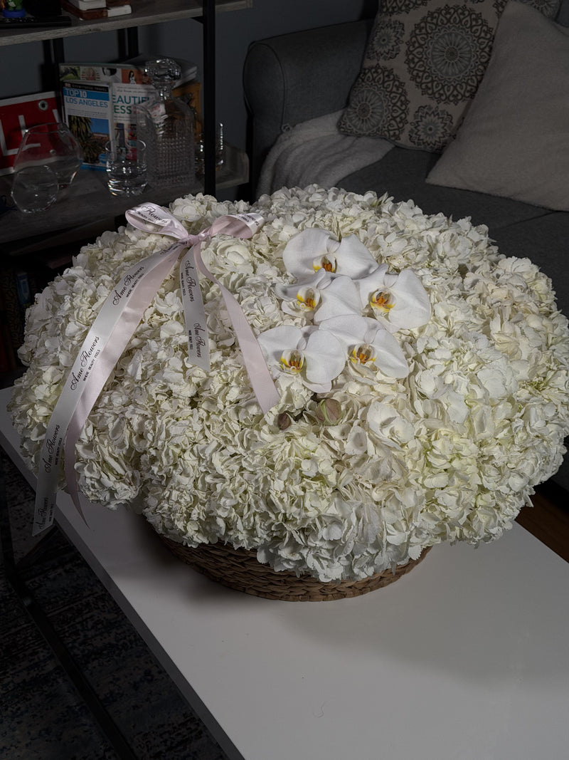Ivory Cloud — Ivory White Hydrangeas · Floral Baskets by Ame Flowers