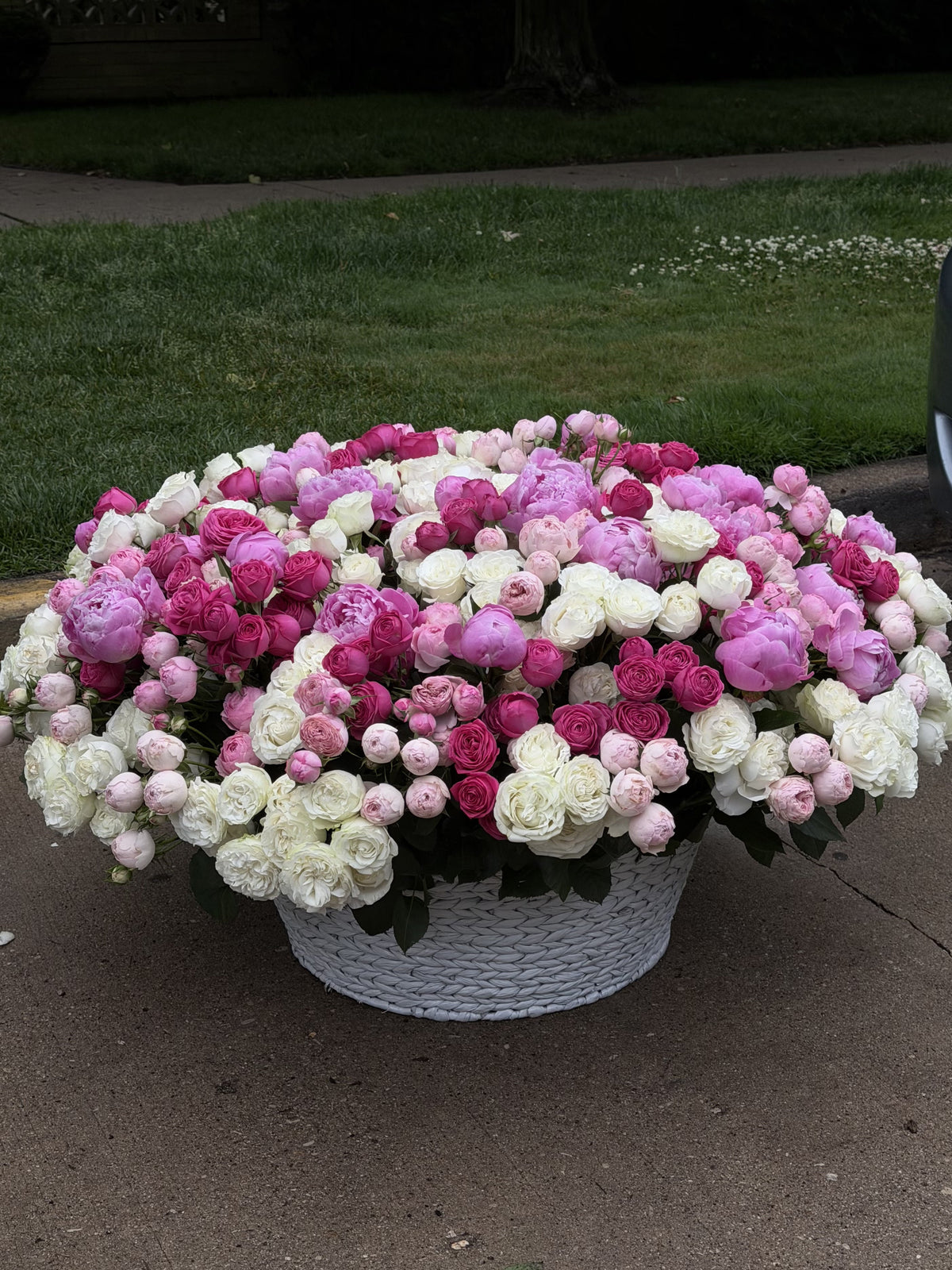 Pink Symphony XXL Basket — Blush Ivory Spray Roses · Floral Baskets by Ame Flowers