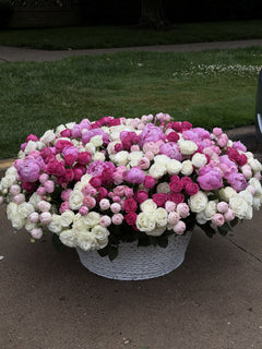 Pink Symphony XXL Basket — Blush Ivory Spray Roses · Floral Baskets by Ame Flowers