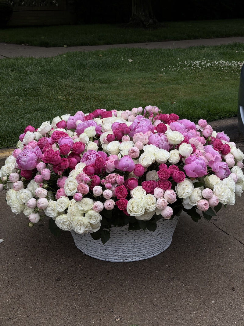 Pink Symphony XXL Basket — Blush Ivory Spray Roses · Floral Baskets by Ame Flowers