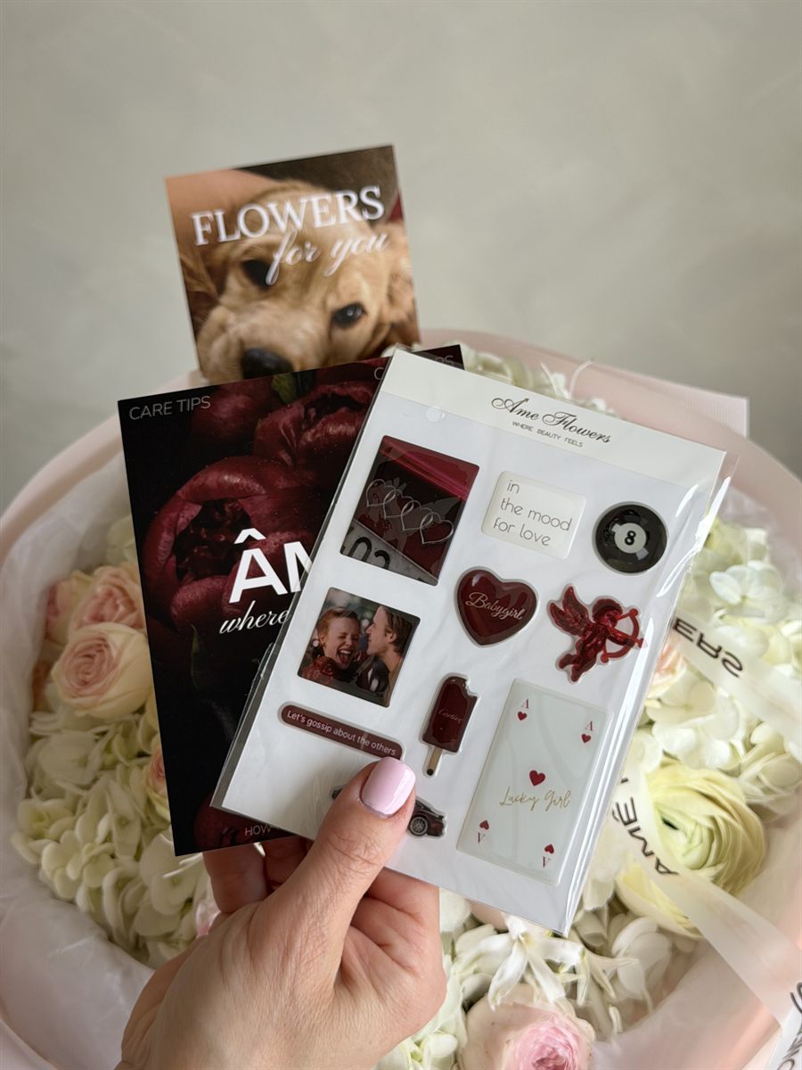 Care Tips & 3D Stickers